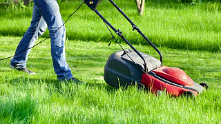 Электрические газонокосилки: выбираем лучшую