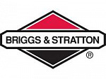 Briggs&Stratton